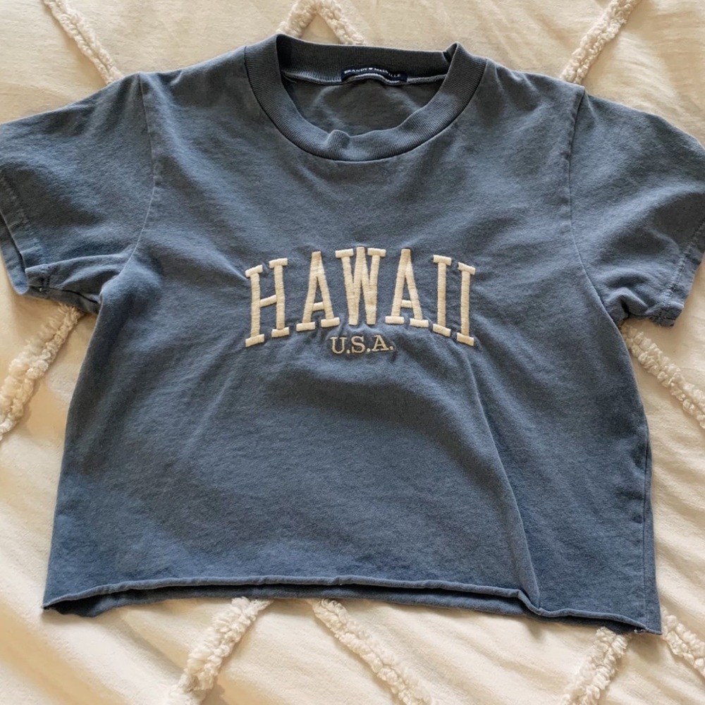 Brandy Melville Crop Top